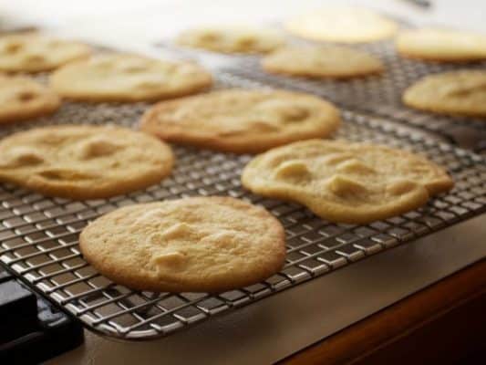 Subway Macadamia Nut Cookie Copycat Recipe